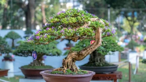 ekspor tanaman bonsai 